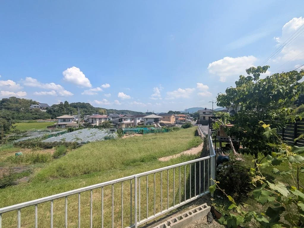 View 3