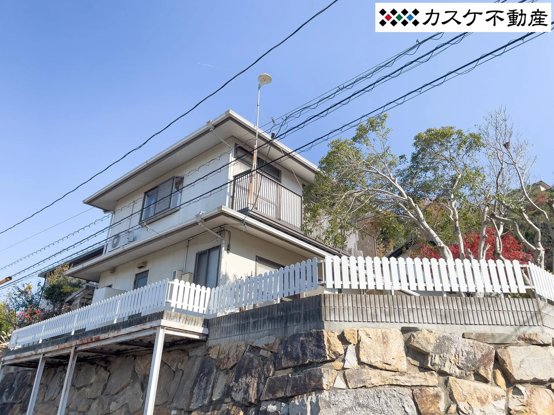 View 28