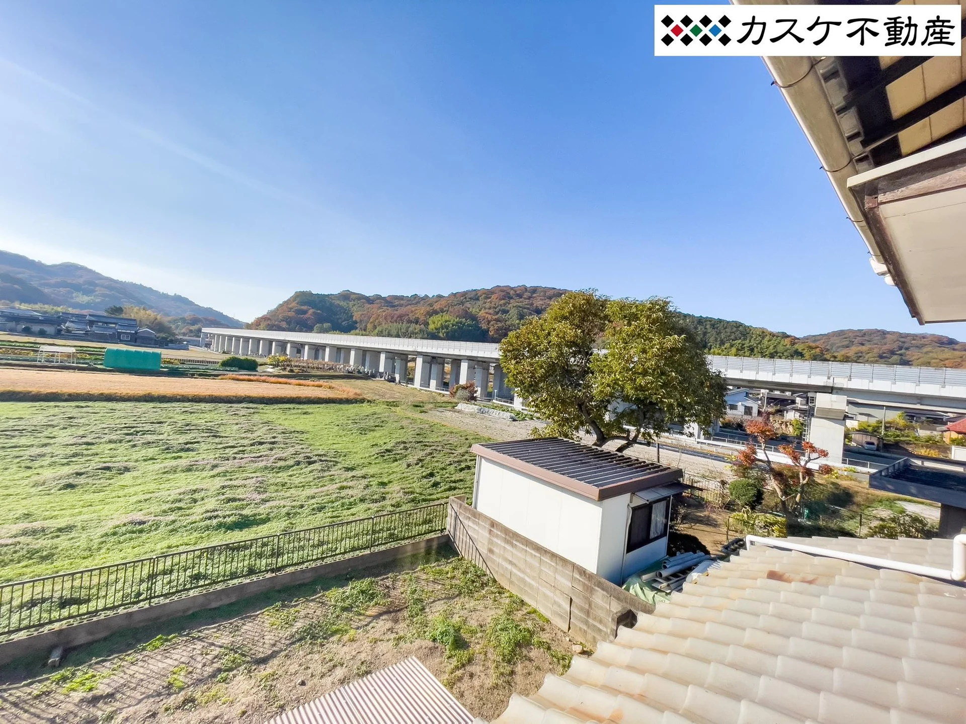 View 25