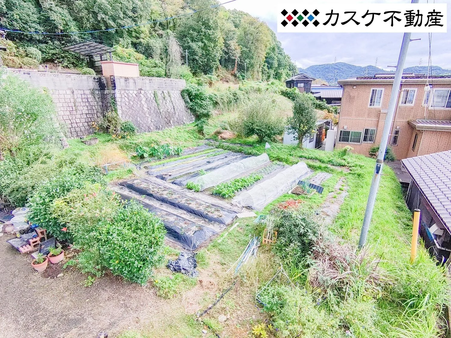View 10