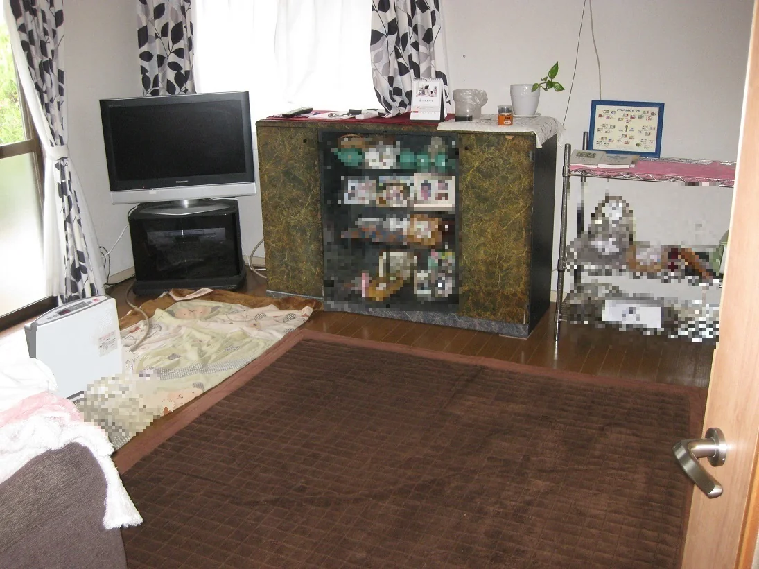 View 12