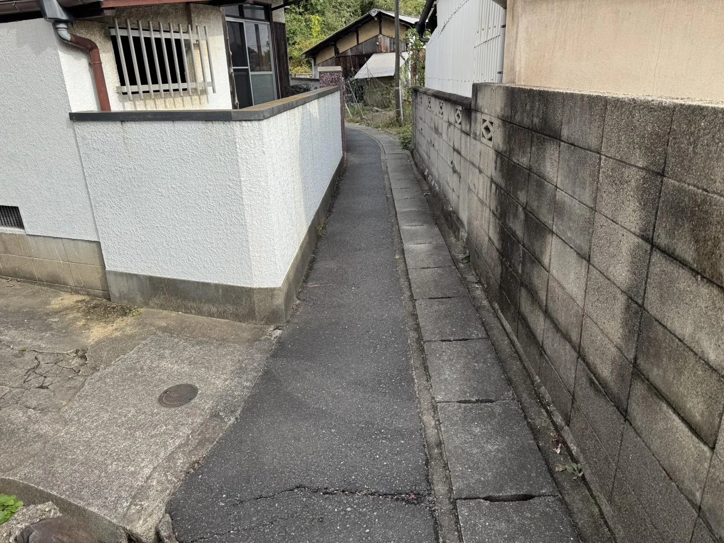 View 14