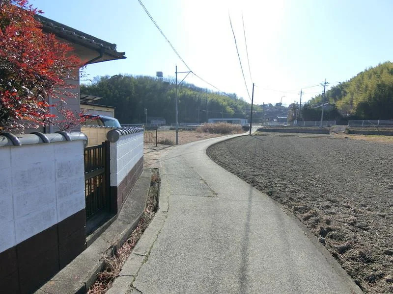 View 18