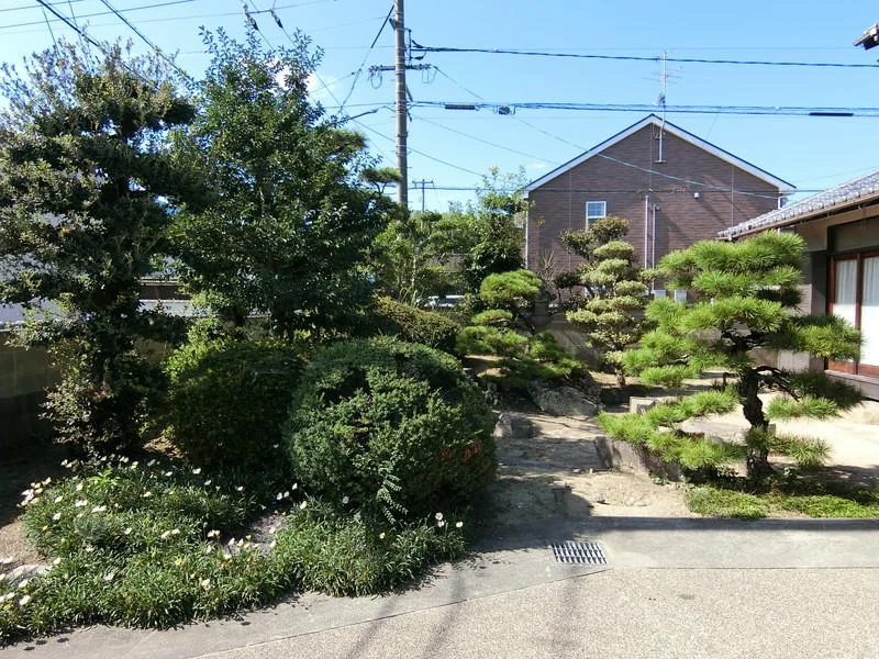View 19