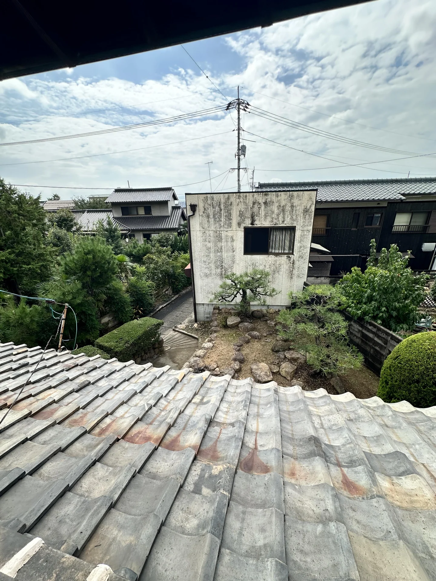 View 15