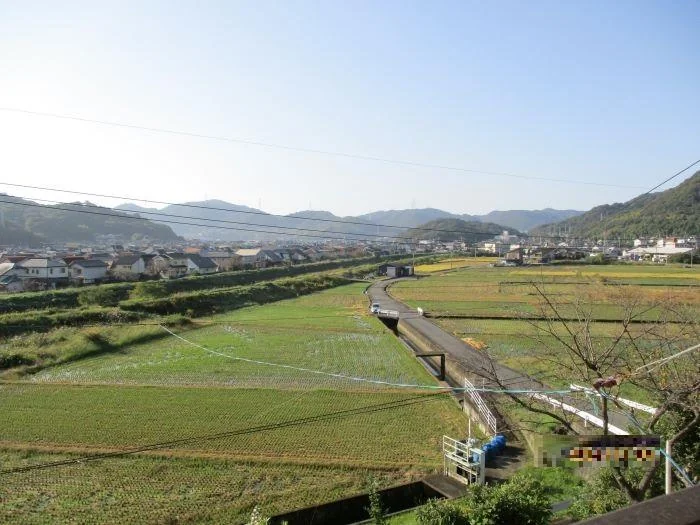 View 14