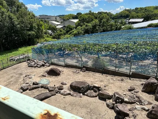 View 15