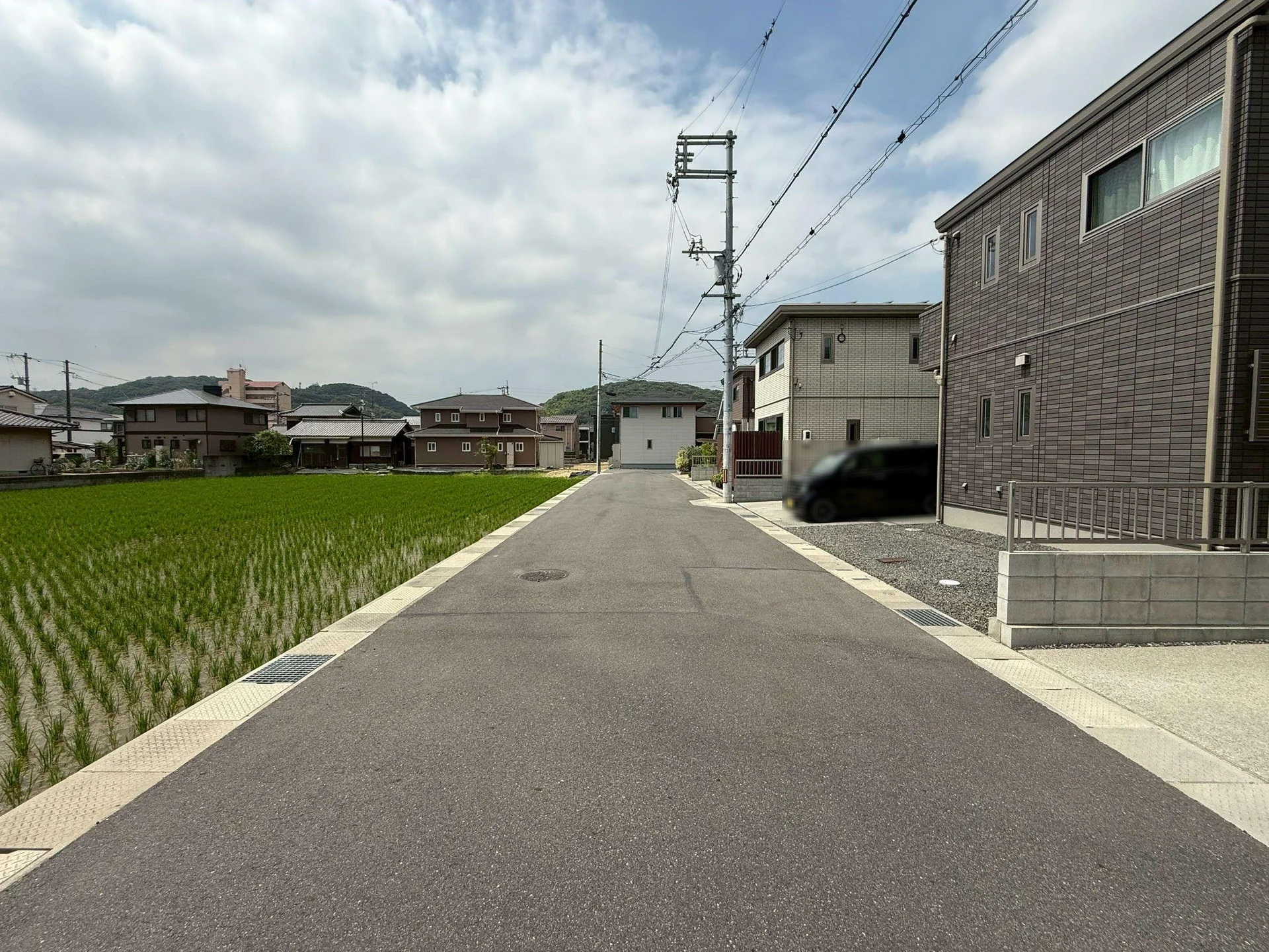 View 25