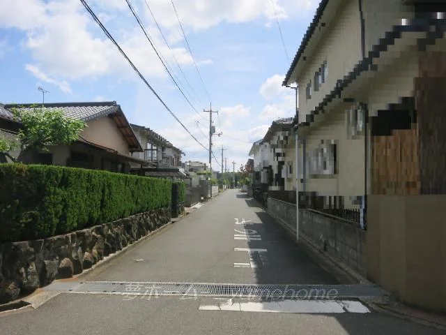 View 8