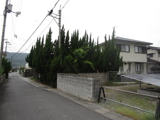 View 3