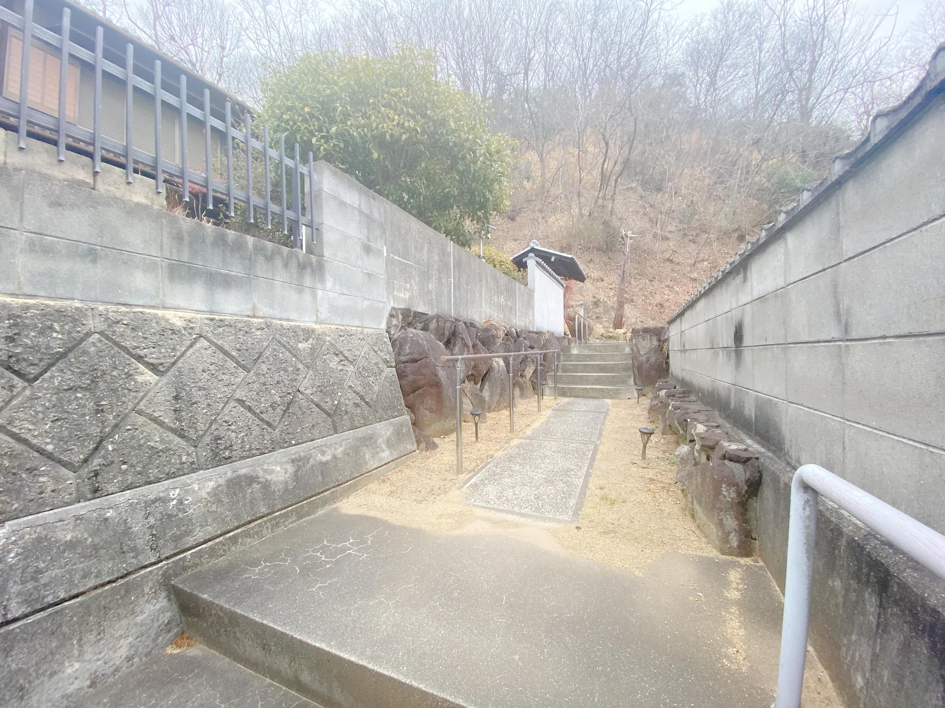 View 6
