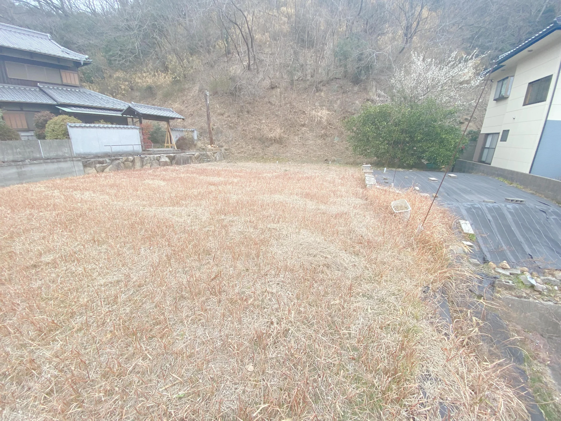 View 7