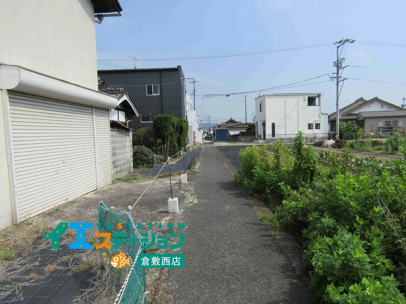 View 5