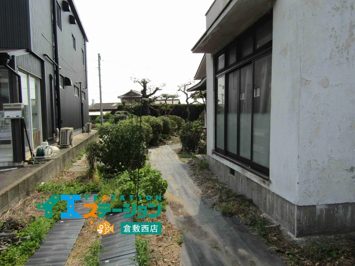 View 8