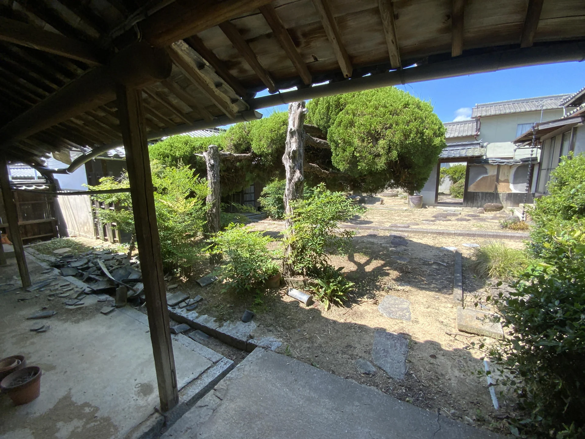 View 8