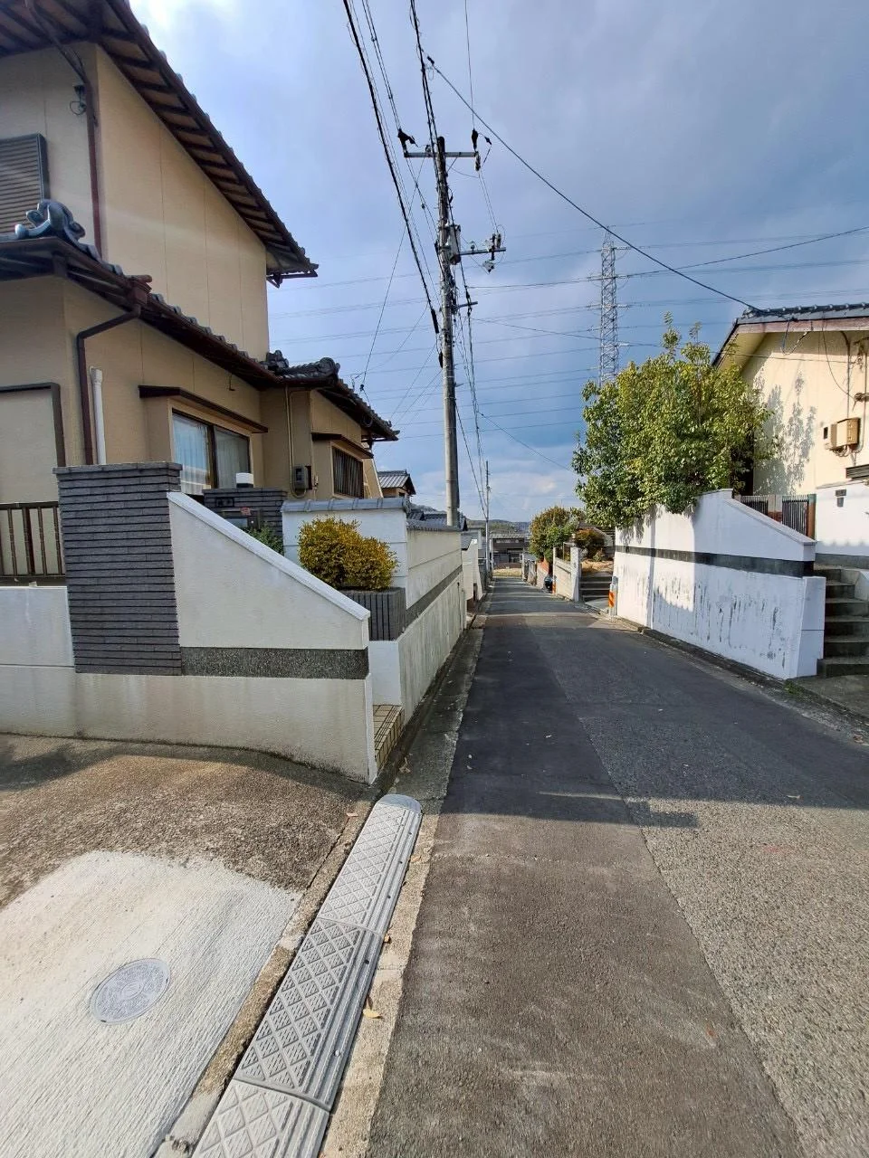 View 25