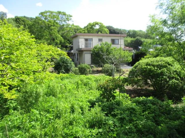 View 5