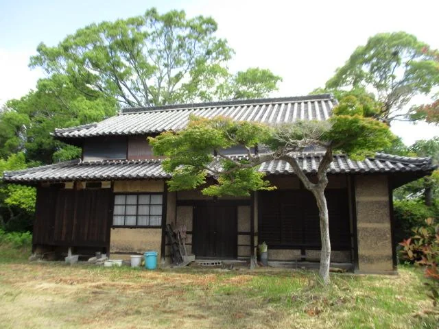 View 8