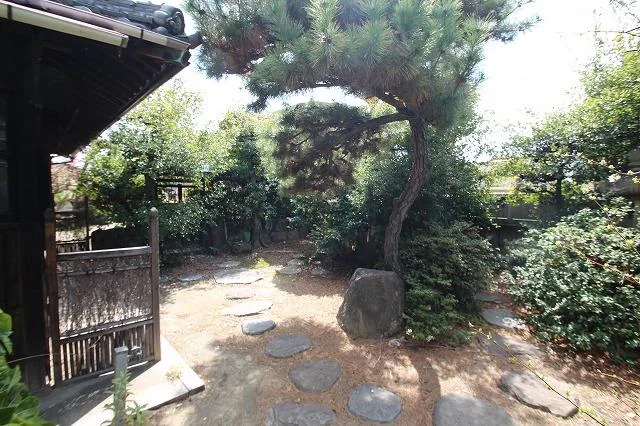 View 2