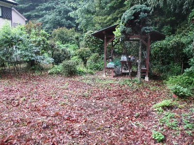 View 3