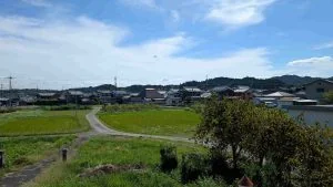 View 13