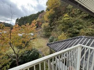 View 10
