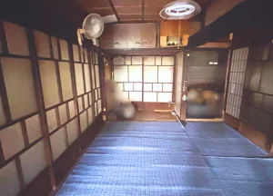 View 5
