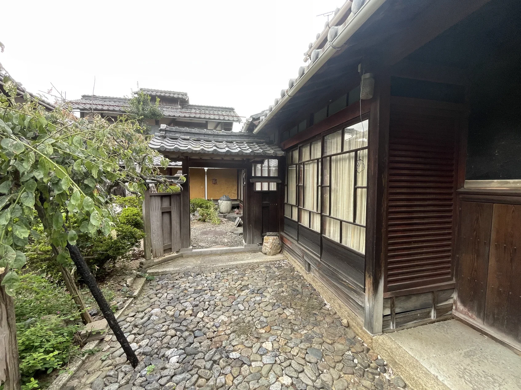View 8