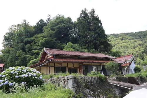 View 2
