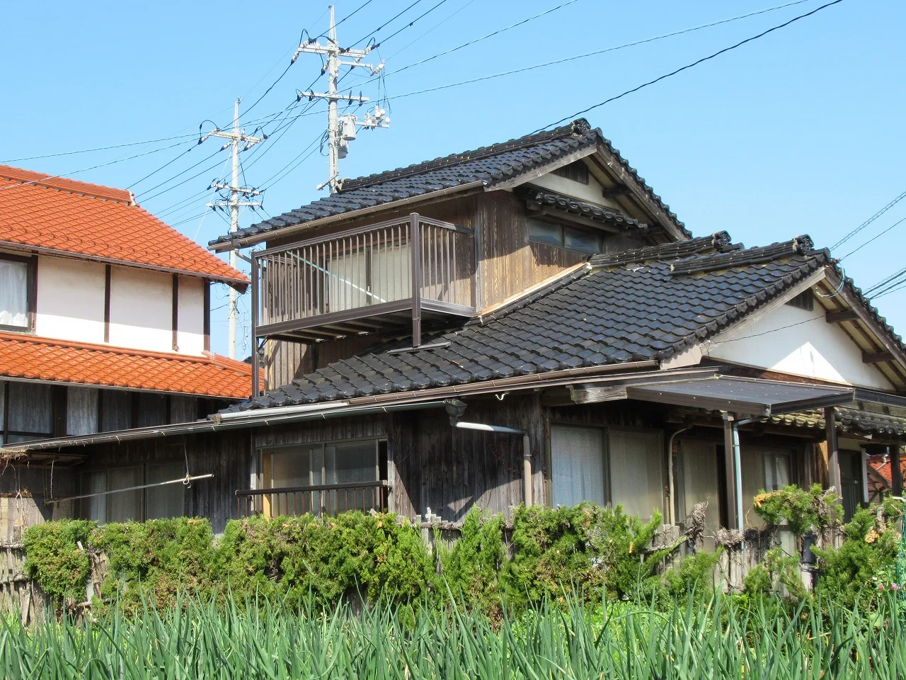 View 12