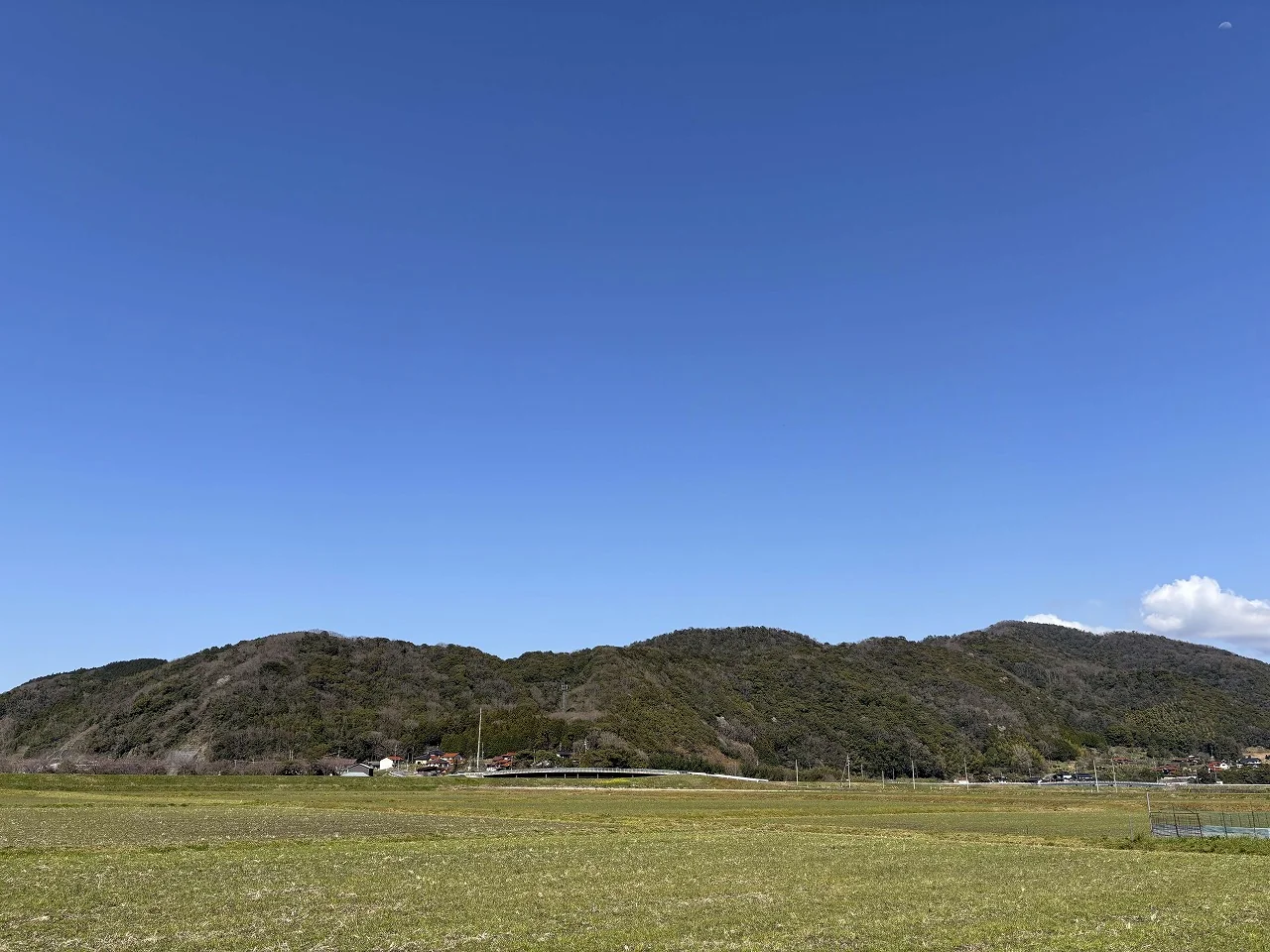 View 15
