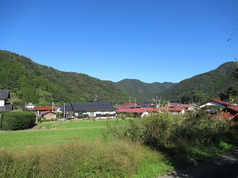 View 16