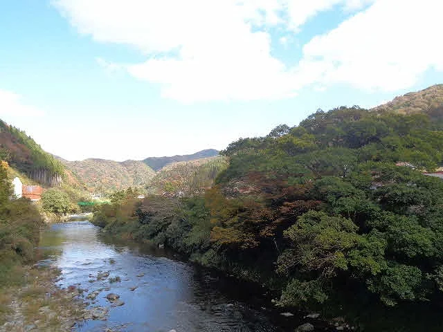 View 21