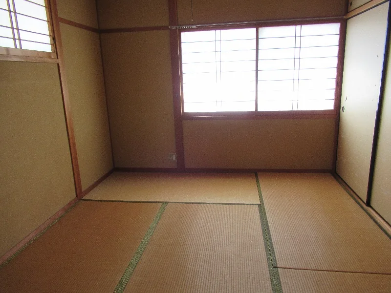 View 5