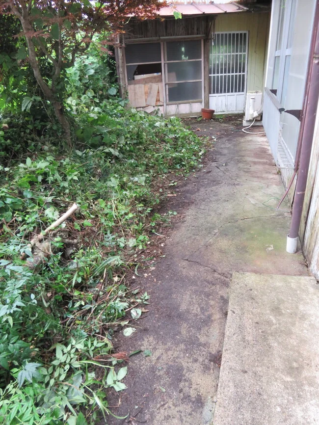 View 17