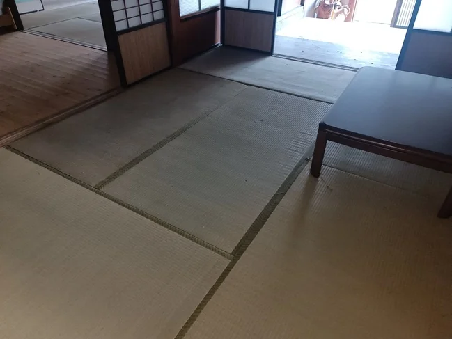 View 15
