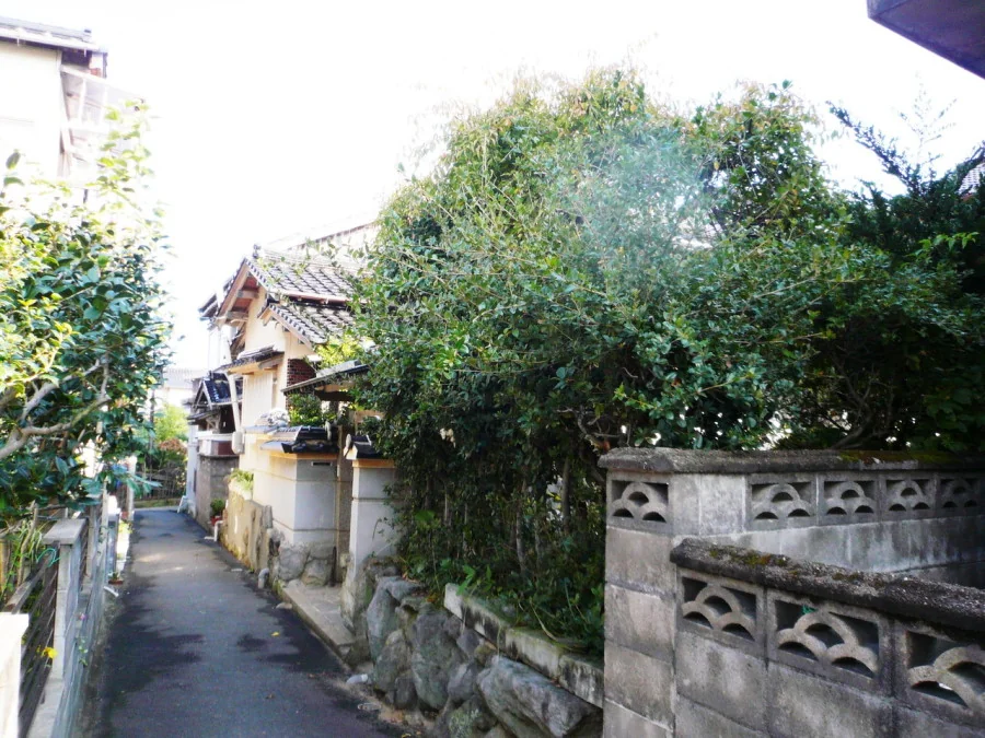 Property