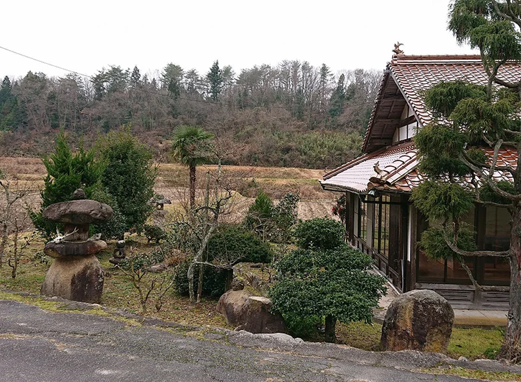 View 7