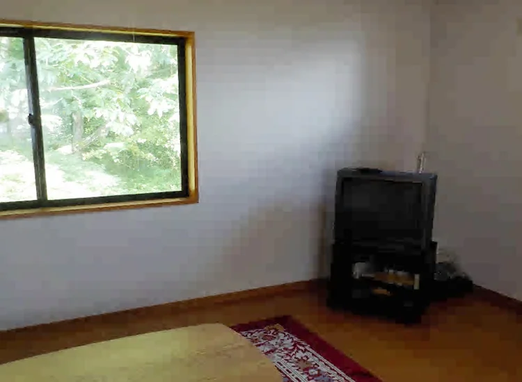 View 5