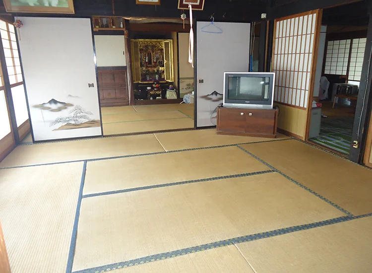 View 6