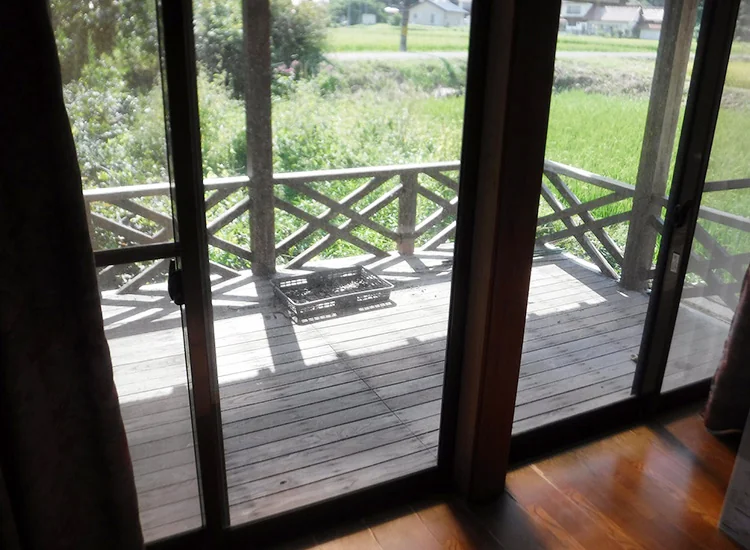 View 7