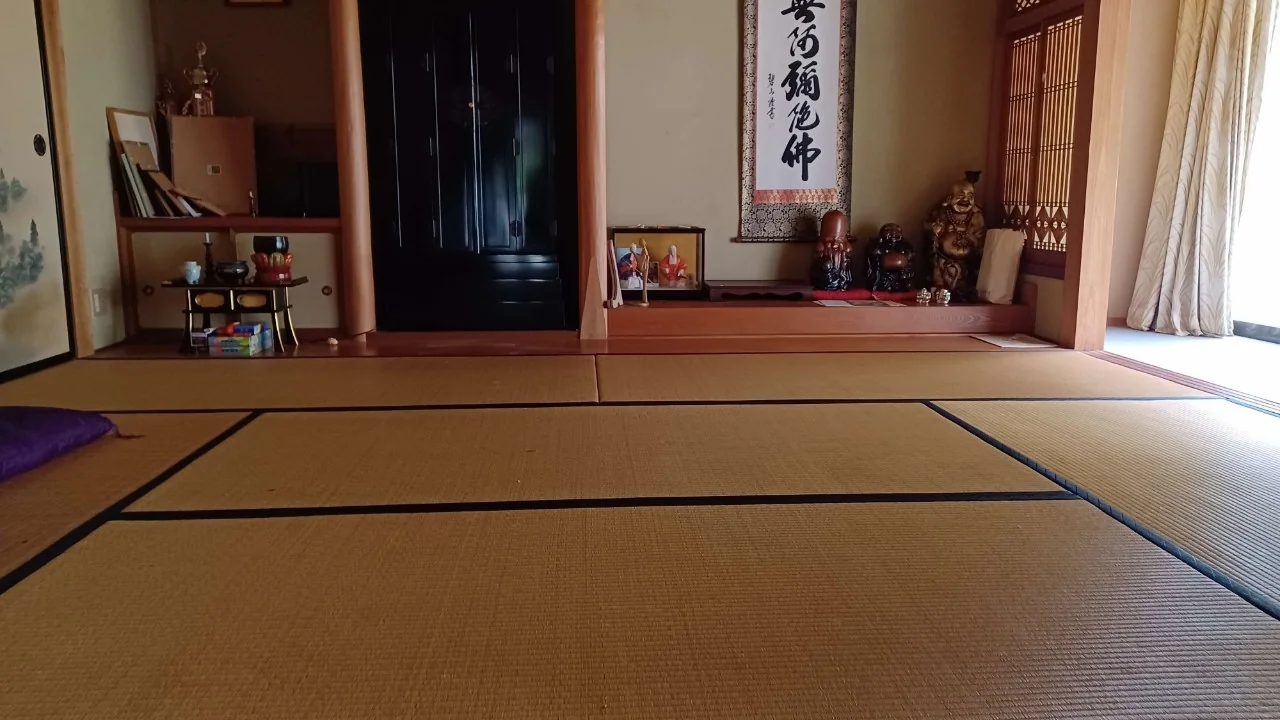 View 2