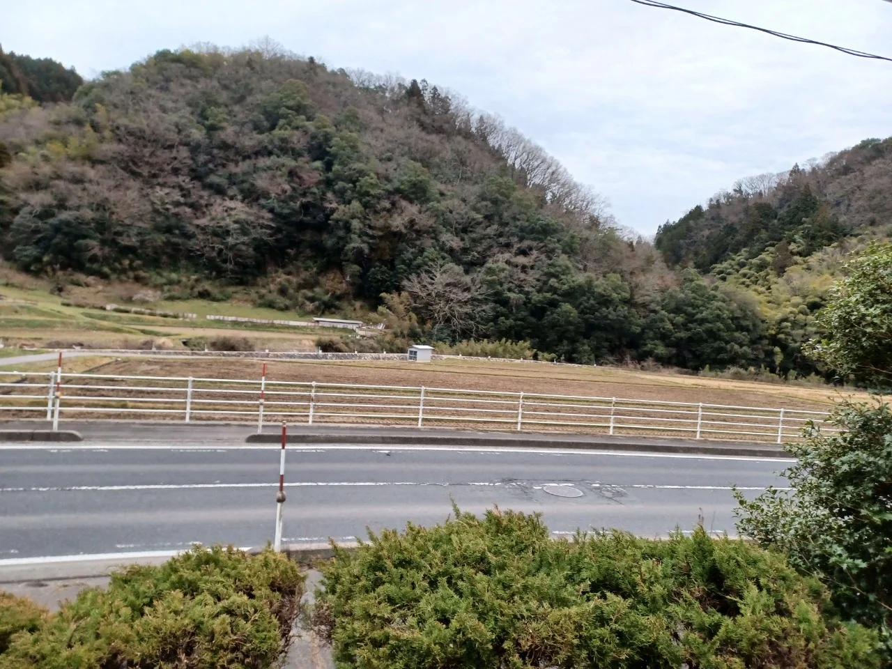 View 6