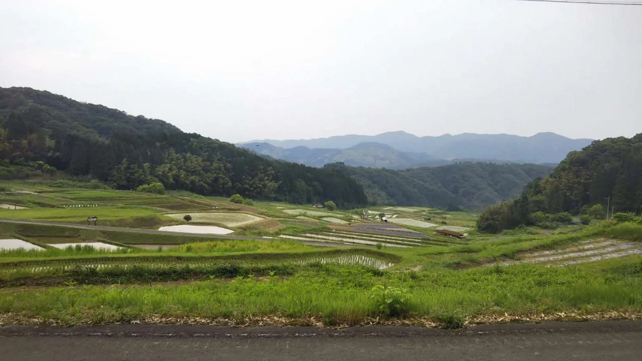 View 6