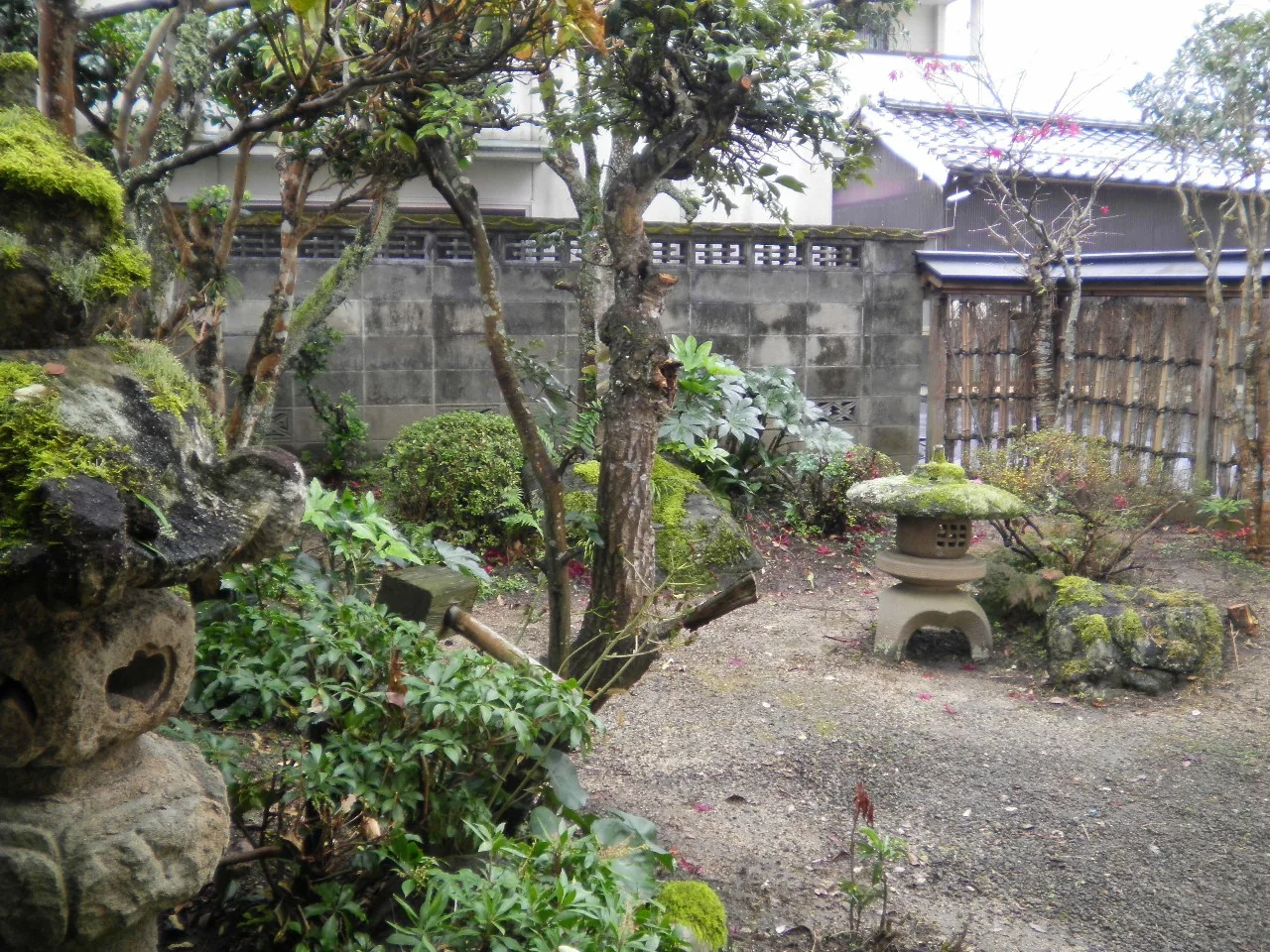 View 7