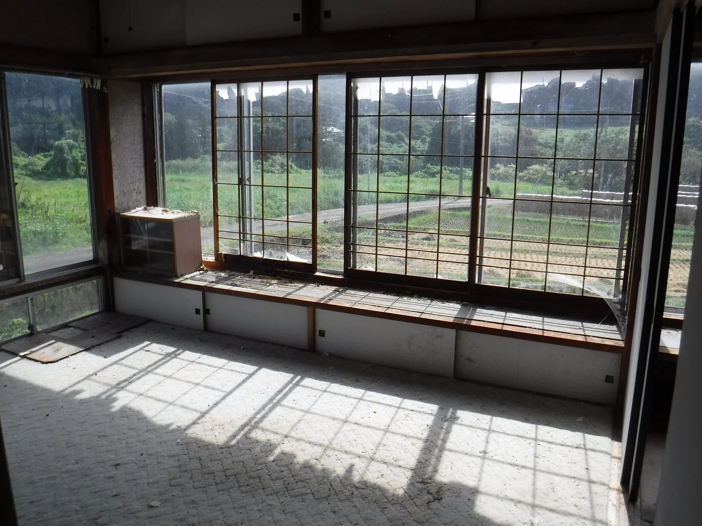 View 14
