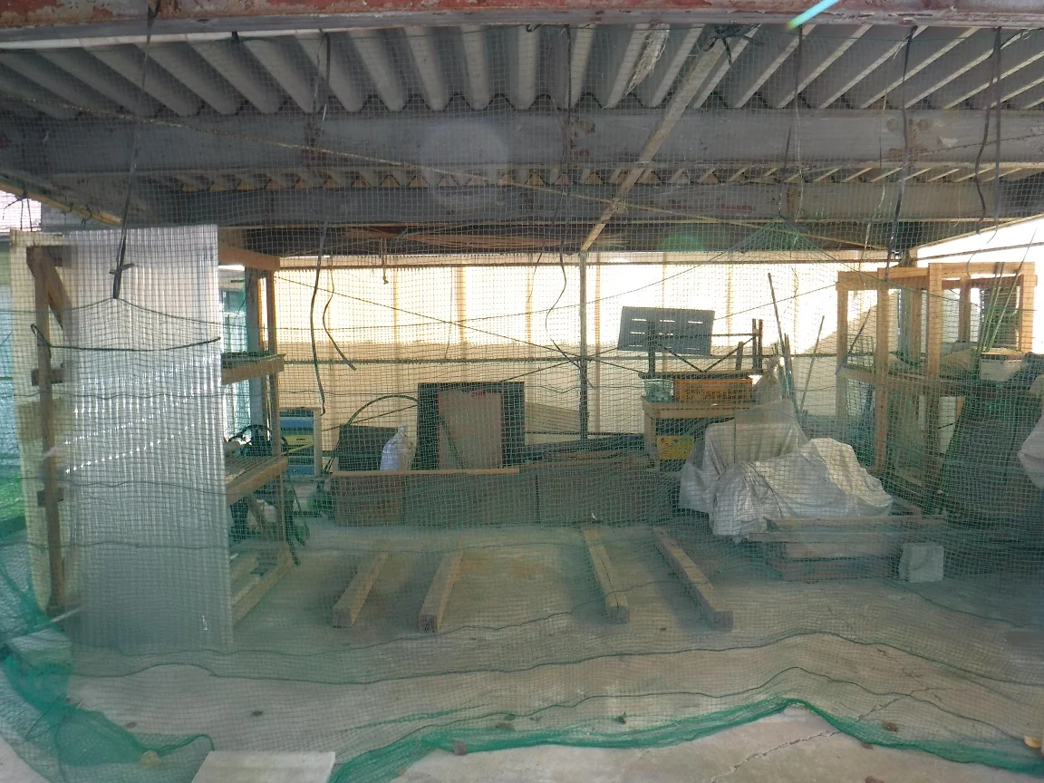 View 15