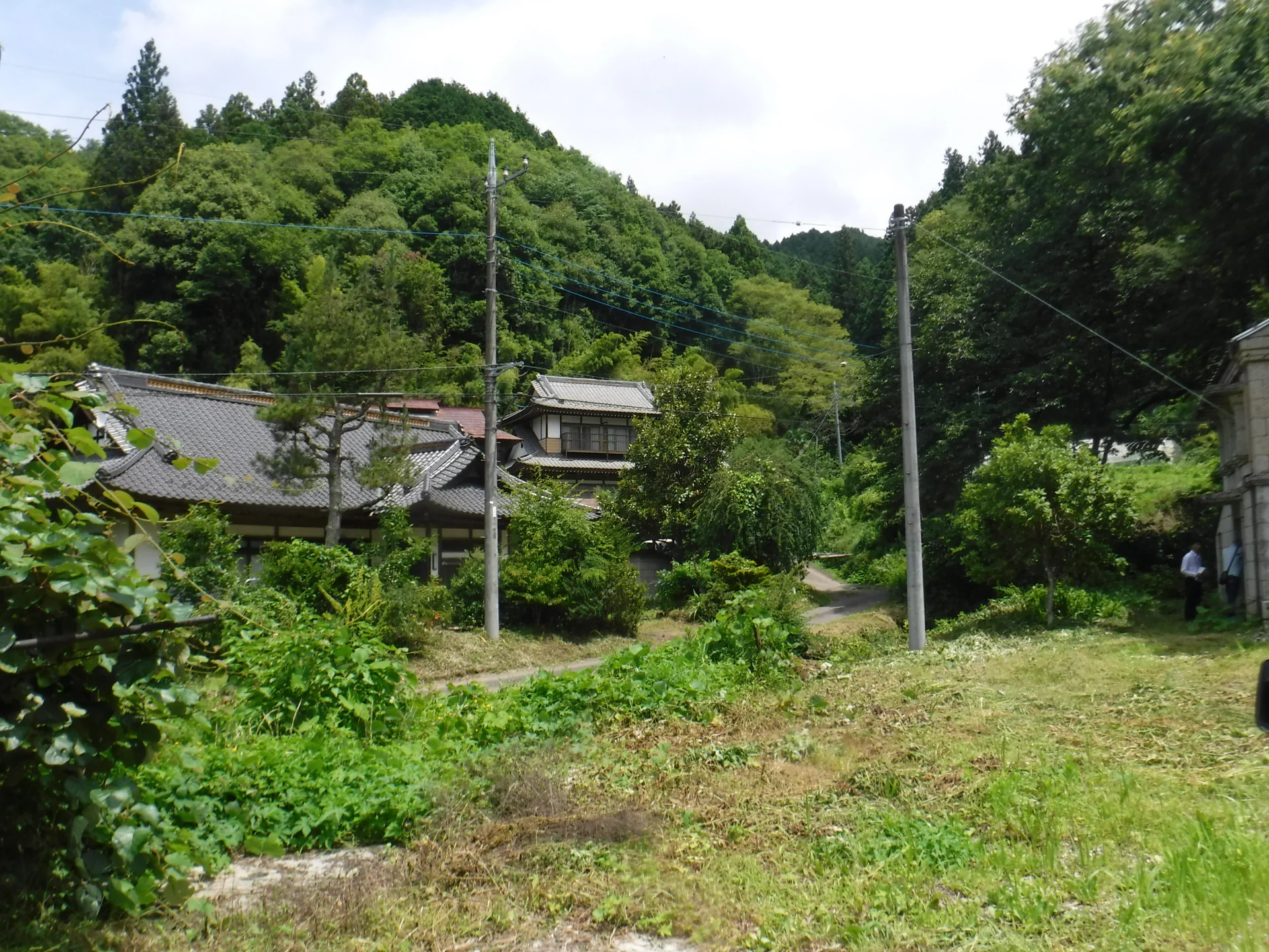 View 16