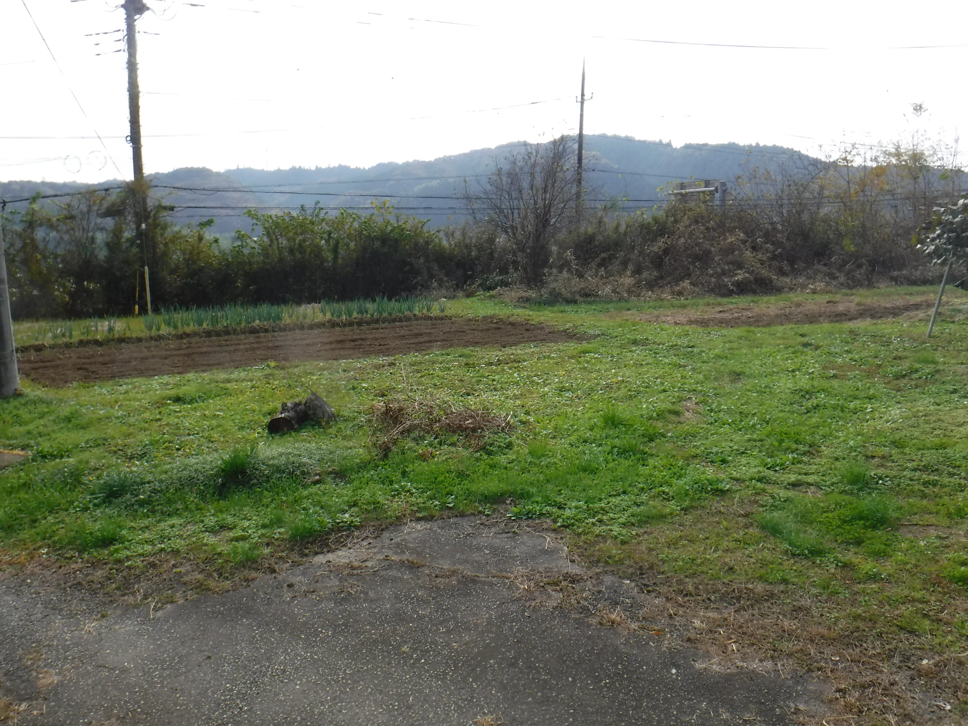 View 3