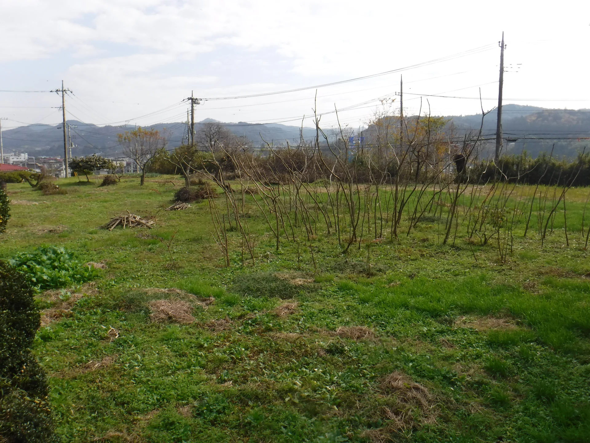 View 5